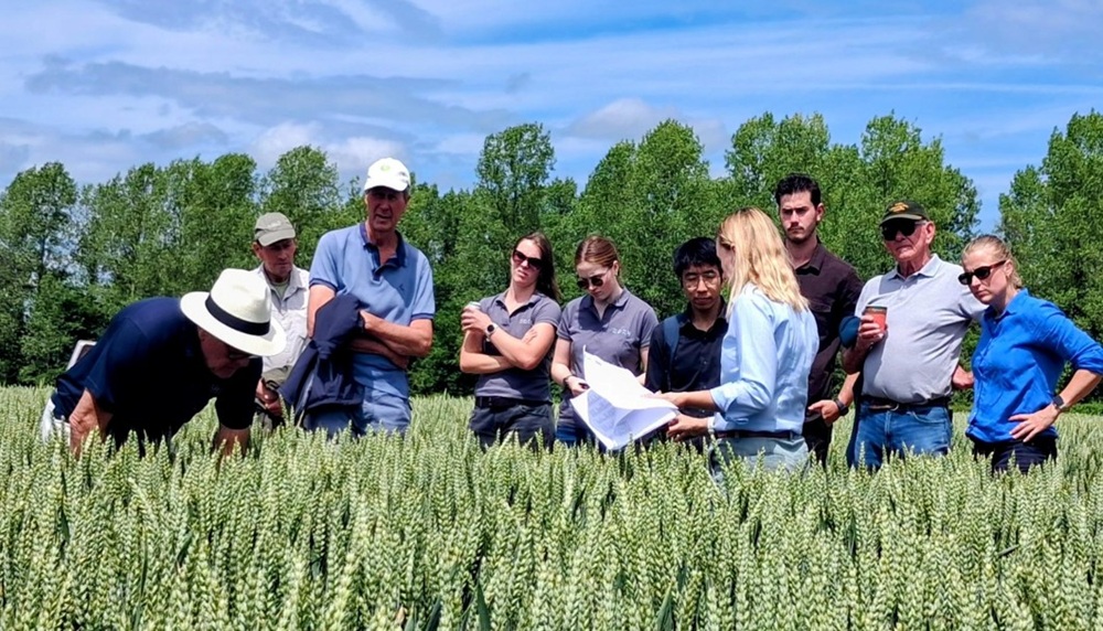 People looking at biofungicide winter wheat trial.